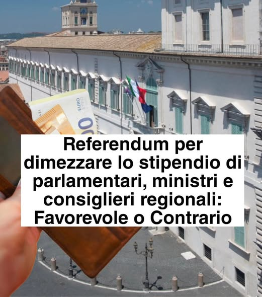 ANNAQuercia's tweet image. 