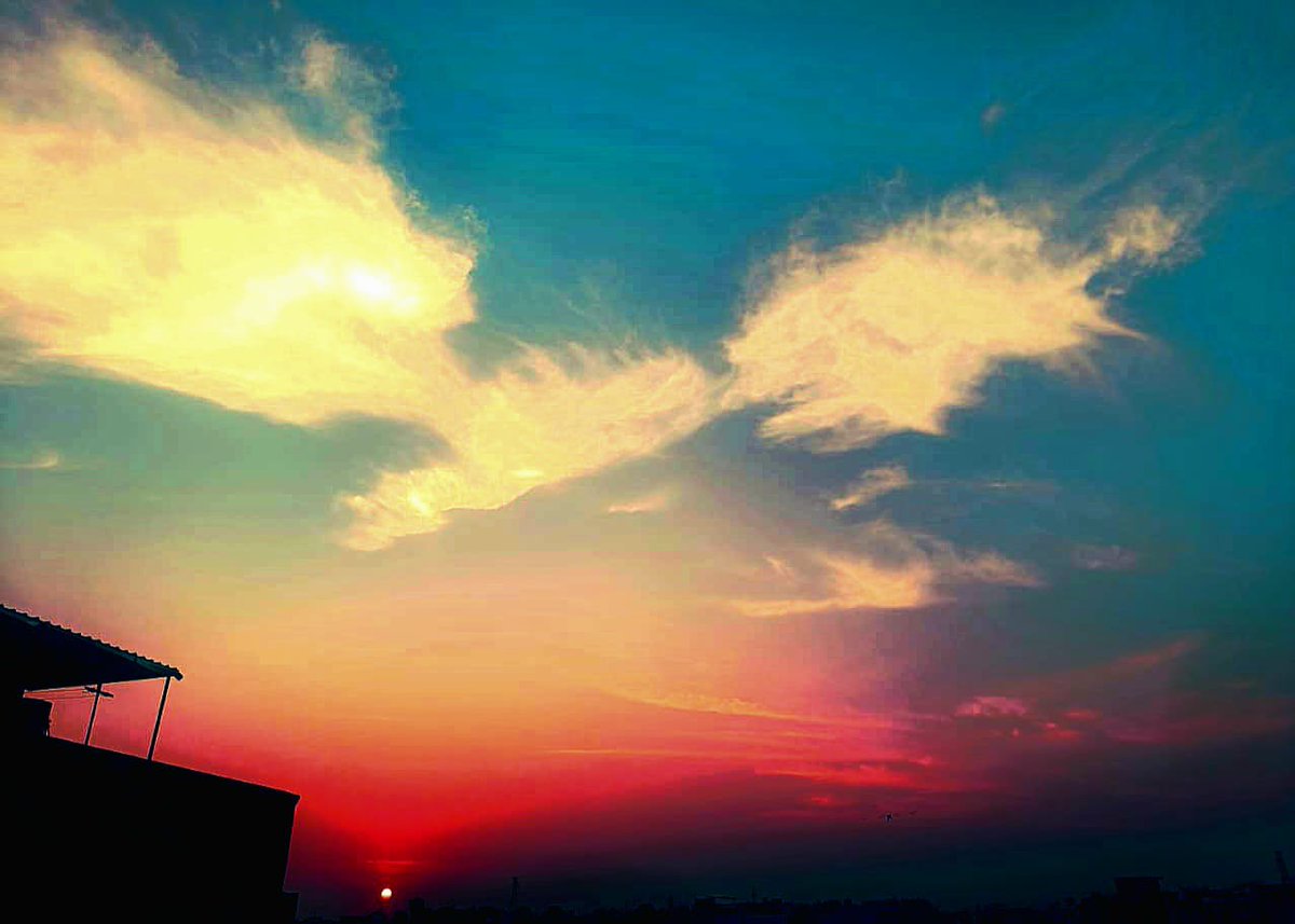 Truthvibeswrite's tweet image. Unburdened by release 
Life begins at ease
Time has no #options
for
ocean life&apos;s paused emotions
Love voyage begins
listen to
the skylark&amp;amp;thrush
Lighter&amp;amp;Princess
chirping innocence&apos;s crush
Silence sails us
past the dogma of pain
We&apos;re kids again

#vss365
#FoxProse
#fairytalepoets