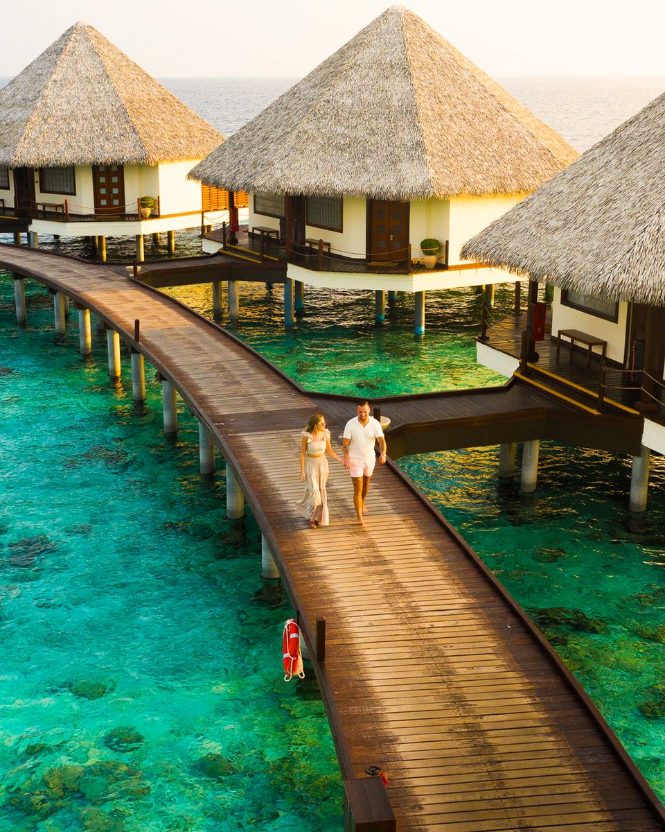 holidaydukes's tweet image. Maldives longstay DM to book in just £3199pp 🌴✨
Adaaran Select Hudhuranfushi = 24H All-Inclusive, 2 villa types, London flights &amp;amp; speedboat transfers included.
Sunset cruise 🌅 | Dolphin cruise 🐬 | Snorkelling 🤿4.9★ Trustpilot 🌟

#MaldivesHoliday #AdaaranSelect #Holiday
