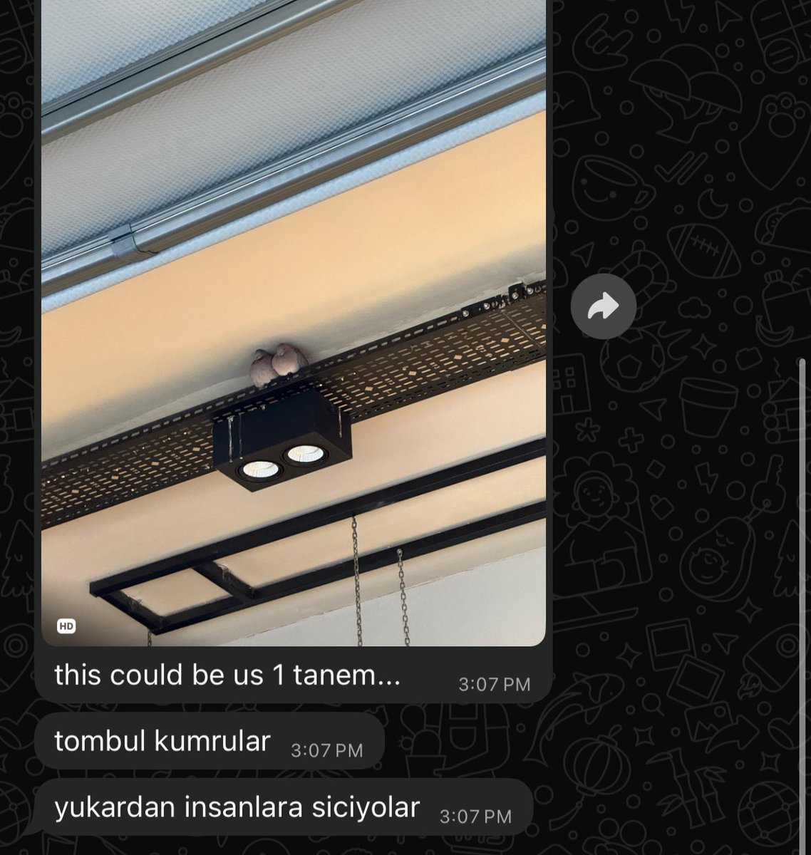 minikurabik's tweet photo. uc yeni mesaj.. https://t.co/Q8ozekgvRh