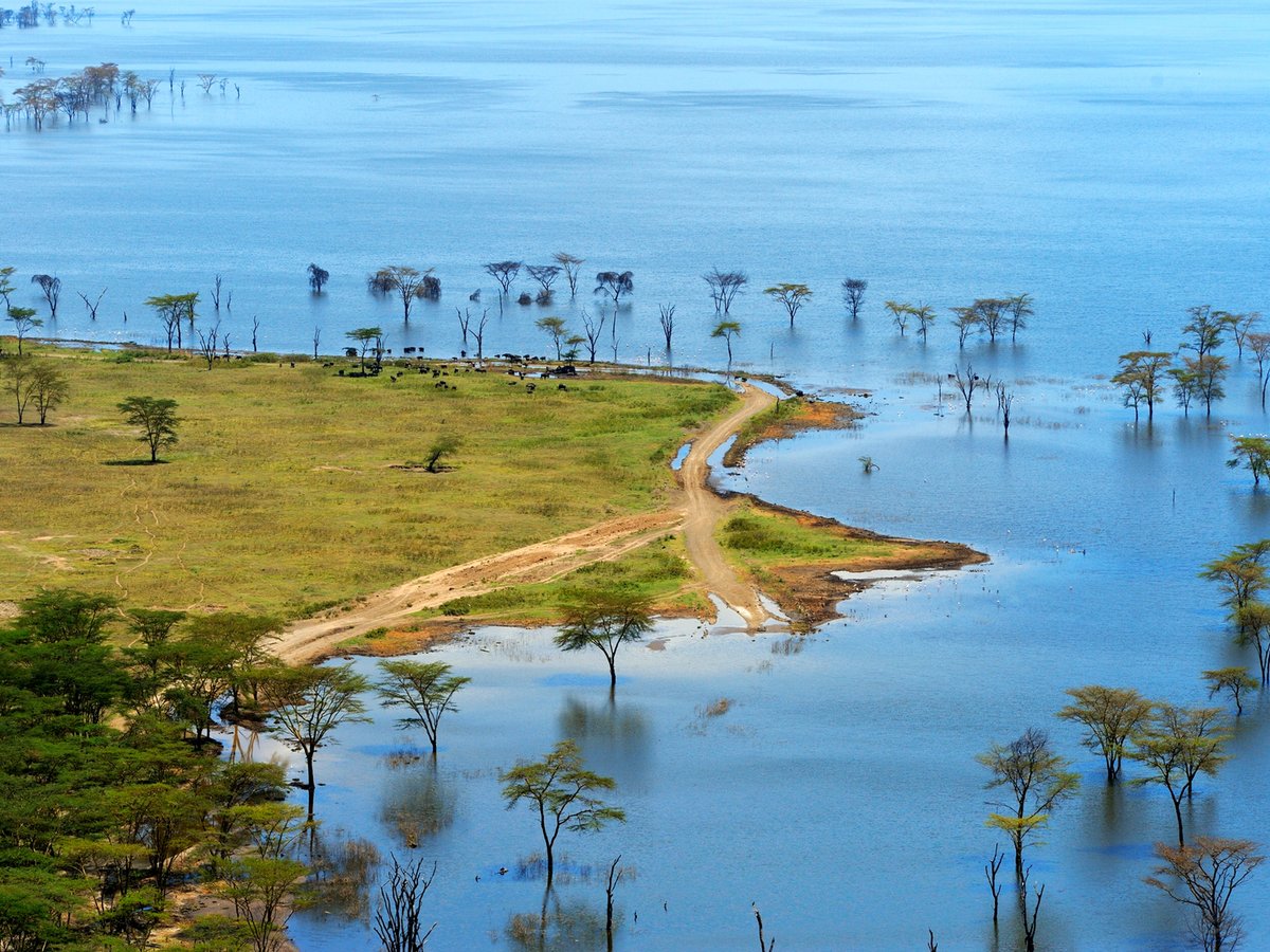 SerianTours's tweet photo. From iconic rhinos grazing peacefully to majestic lions, elegant giraffes, and vibrant birdlife, every game drive reveals something unforgettable.
Either for adventure, nature photography, or a serene getaway, Lake Nakuru offers the perfect escape into Kenya’s wild heart. https://t.co/XcQp5BCVOP