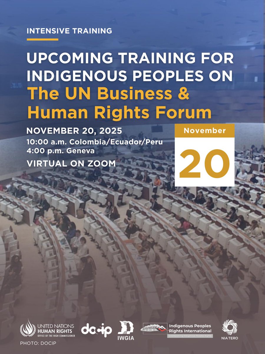 Docip_en's tweet image. Join us tomorrow for the final training of the year, focused on strengthening Indigenous Peoples’ engagement in global Business &amp;amp; Human Rights processes.

📅 20 Nov | ⏳ 4–6 pm Geneva
🔗 Zoom: bit.ly/3LMItMi

@IPRightsIntl @IWGIA @NiaTero 

#IndigenousRights #UNForumBHR