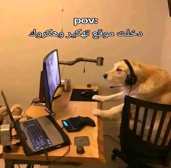 mskibdi's tweet photo. 🤧حسابي انسرق بس الحمد الله كنت ماسح كل الشاتات قبل ما ادخل https://t.co/OtG2pu65h1