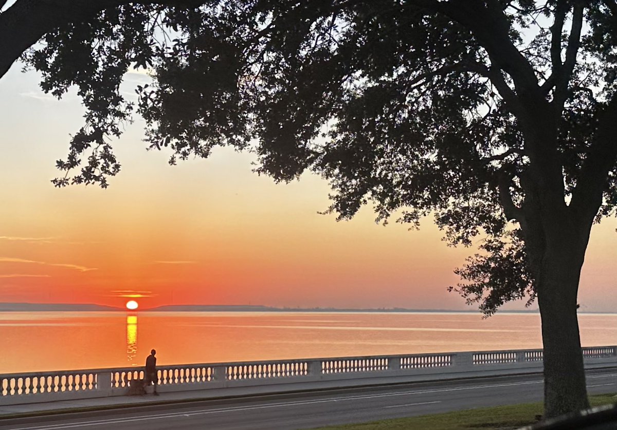 Good morning Tampa Bay :)