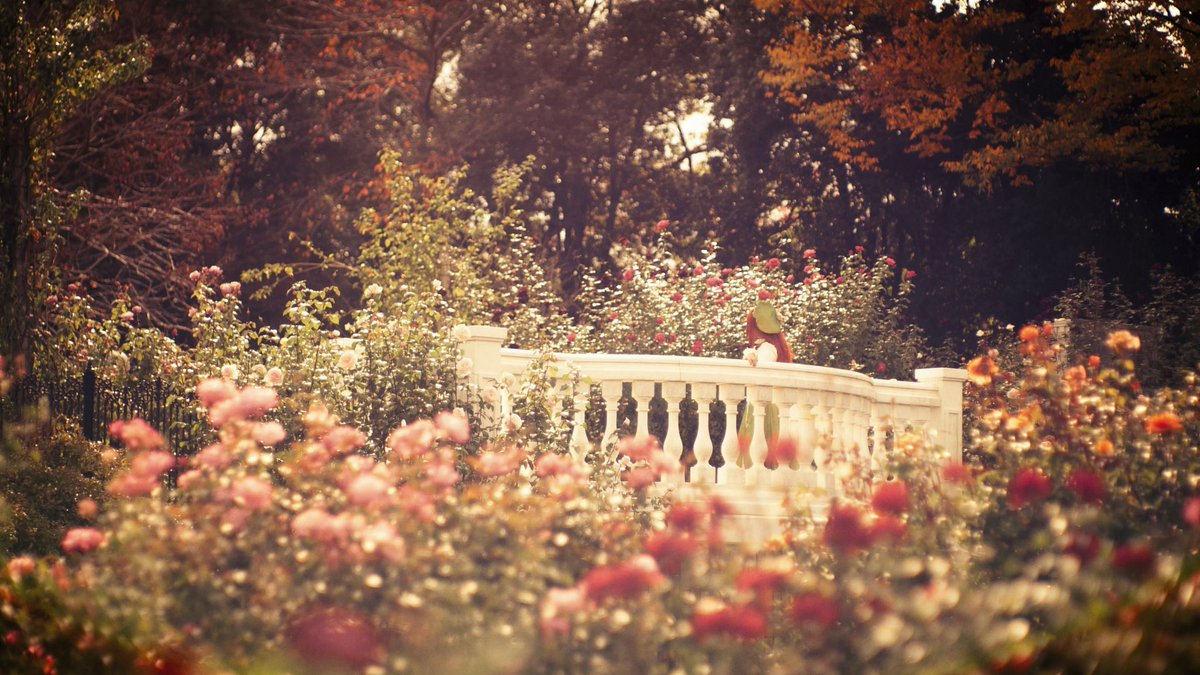 cosplay 東方project 紅美鈴 色鮮やかに虹色な門番 photo