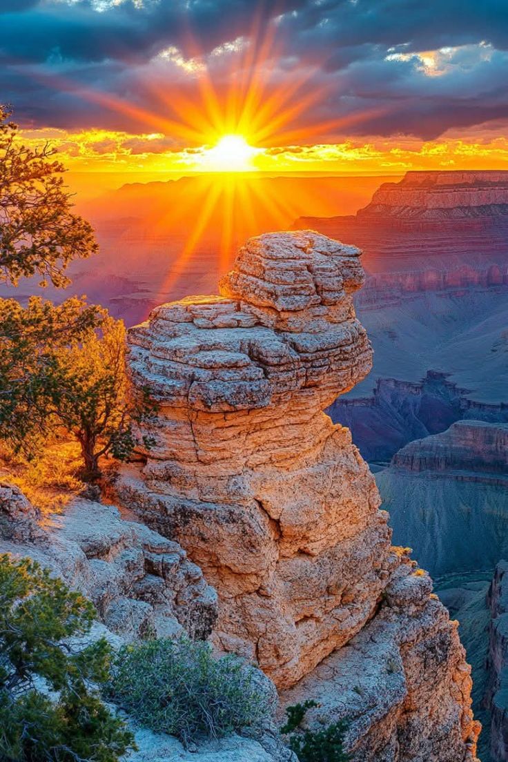 Nature Explorer (@natureexpl96980) on Twitter photo 