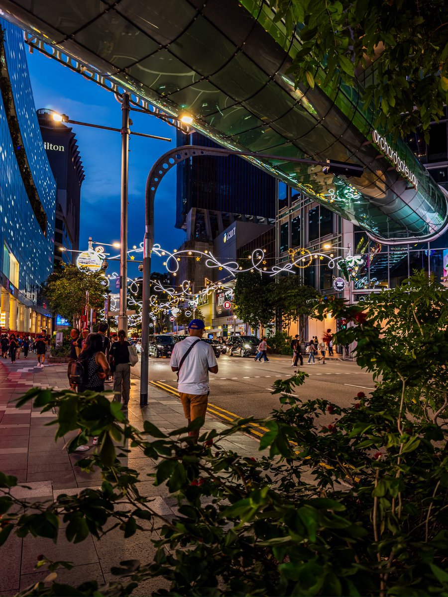 javanng's tweet image. Catching all the Christmas feels under the Orchard Gateway overhead bridge.

#ChristmasOnAGreatStreet #OrchardRoad #Singapore #CityVibes #festivevibes #visitsingapore #nightphotography #SG60