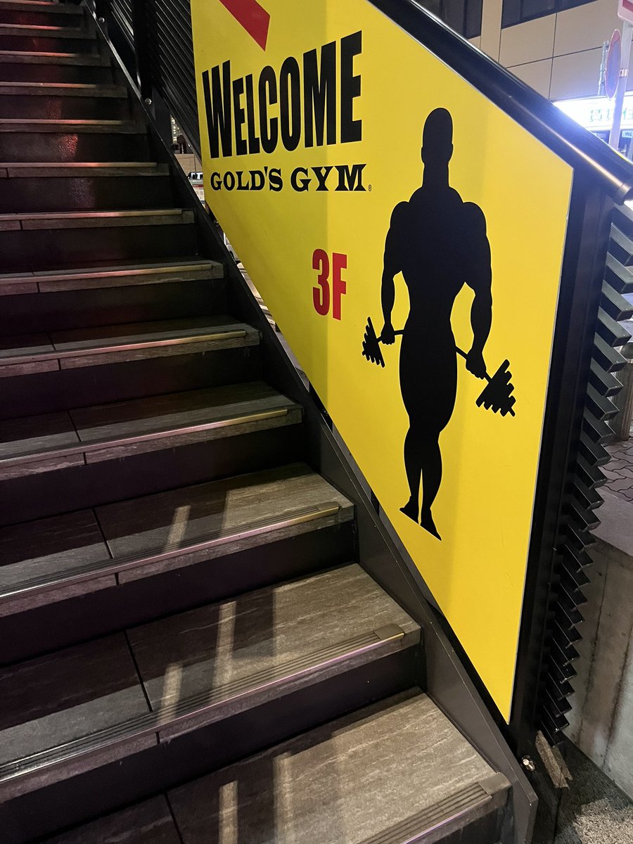 icbb5087's tweet image. 脚終わり

スクワット190キロまで戻った。

痛めたままやらずに
ちゃんと治るまで待った分
脚ガリガリになったけど
どこも痛くない状態でスクワットできるから、それだけで楽しい