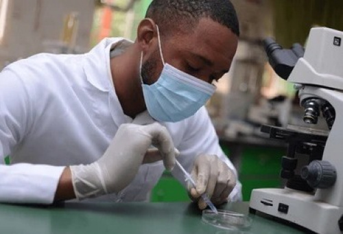 Universités publiques : le gouvernement offre des bourses aux étudiants en Master et Doctorat republiquetogolaise.com/education/1911…