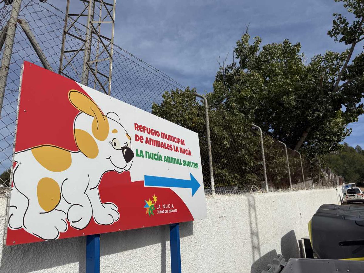🐶🏠 A petición de la Protectora de Animales de La Nucia hemos instalado pavimento antideslizante, indispensable para la limpieza diaria y la seguridad del Refugio de Animales de <a href="/LaNuciaES/">La Nucía</a>, con una inversión de 3.000€.

📰👉🏻 lanucia.es/Actualidad/not…

#LaNucia