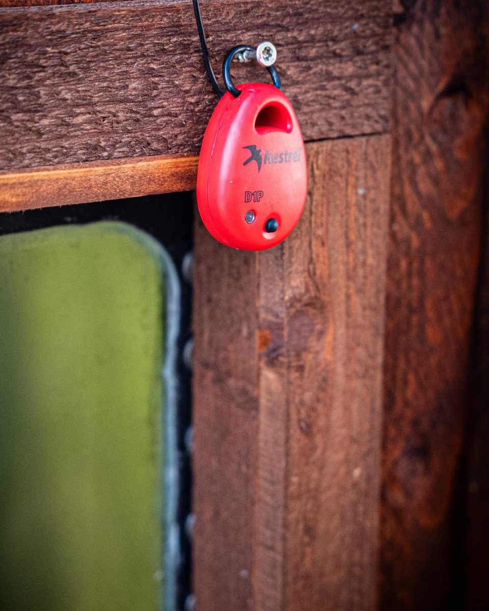 KestrelWeather's tweet image. 🌡️ The Kestrel DROP D1P monitors and logs temperature in liquids, soil, or hard-to-reach places—perfect for research, cold chain, and commercial applications. #KestrelMeters #TemperatureMonitoring #DataSmart #Monitoring