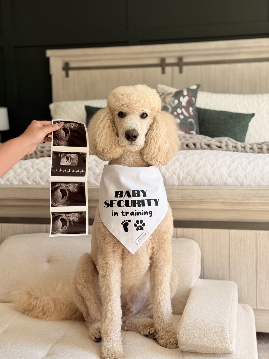 ReadySetData's tweet image. Dashboard refresh complete: New metric added → Baby Balash (March 2026) 🩵