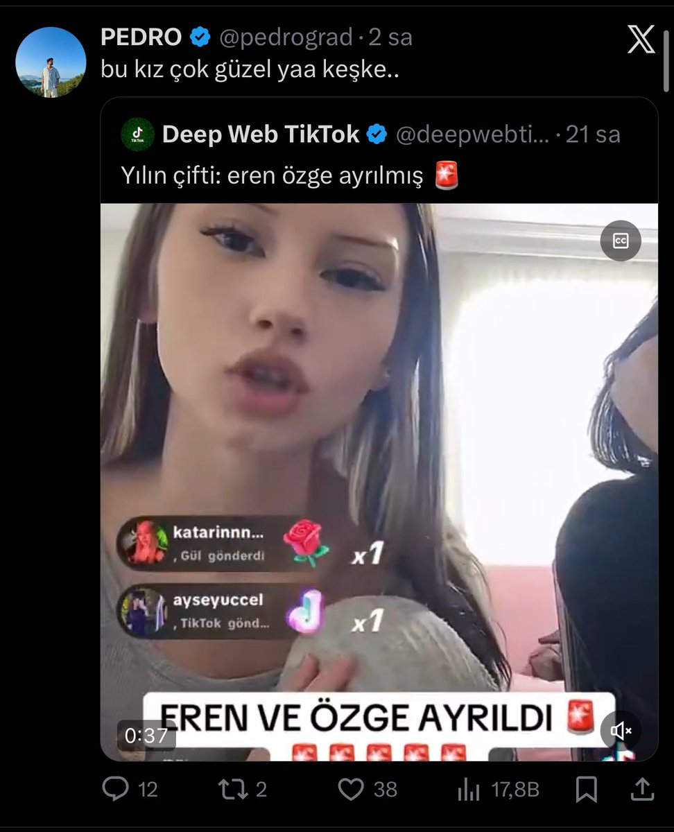 Keşke… babasıgil bu twitini görse de götünde soda şişesi parçalasa dimi orospunun doğurduğu kırma piç kurusu seni