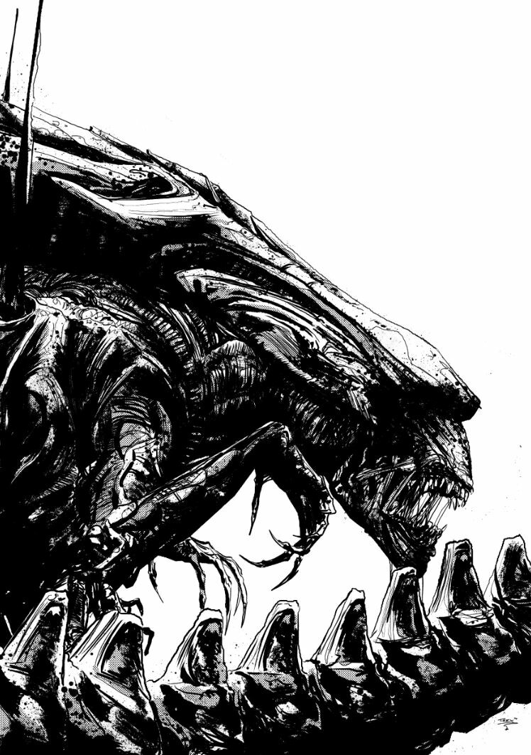 Tristan Jones tweet media