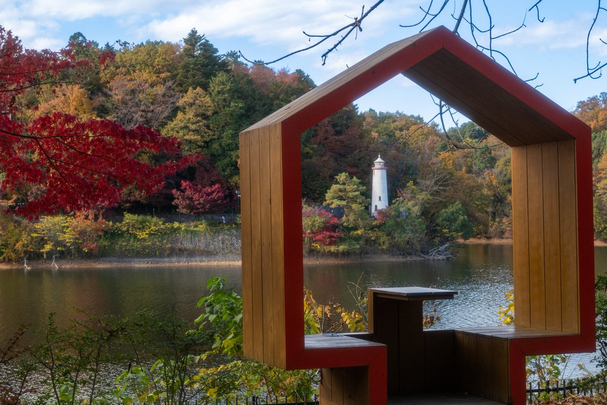 朝晩の冷え込みで紅葉がかなり進んで見頃を迎えました🍁🍁🍁

#ムーミンバレーパーク
#メッツァビレッジ