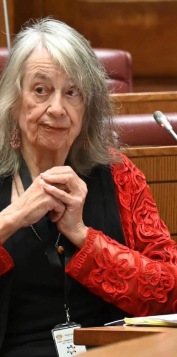 This Fugazi doesn’t have a PHD nor a Doctorate and she under falls pretends wrote a letter that influenced Minister Mchunu to disband PKTT #MaryDeHaas