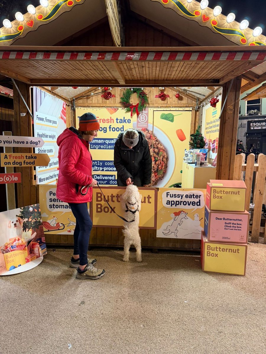 team_tecna's tweet image. The @ButternutBox  Christmas chalets are officially out in the wild 🎄✨

17 modular kits - designed + manufactured at Tecna HQ - now lighting up markets from Belfast to Blenheim Palace, Cork to Liverpool.

Smart, simple, built for impact.

#TeamTecna #ModularDesign #EventProfs