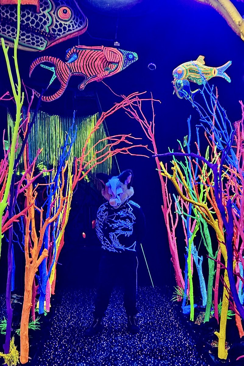 YourFoxRobin's tweet photo. Something fishy is going on here 🐠 https://t.co/bj9H1bQsd0