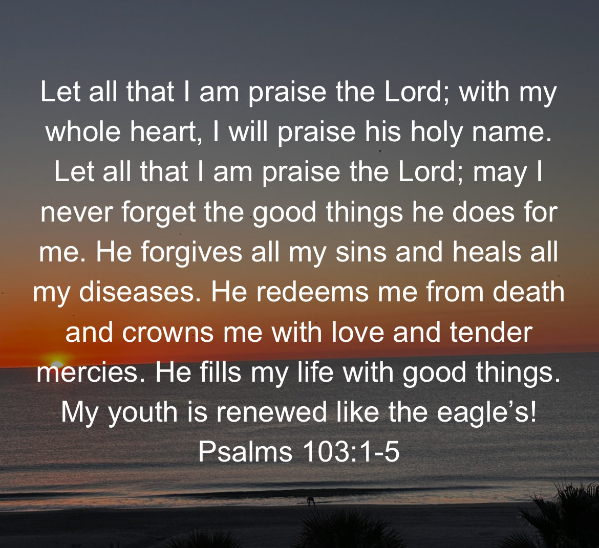 🙏🏻 Lord, we desire not to sleepwalk through Your goodness each new day. We remember what You’ve done! We don’t take for granted Your forgiveness, healing, and redemption of our lives. We marvel in You and TODAY, again, we choose gratitude over grumpiness.  In Jesus name, amen.