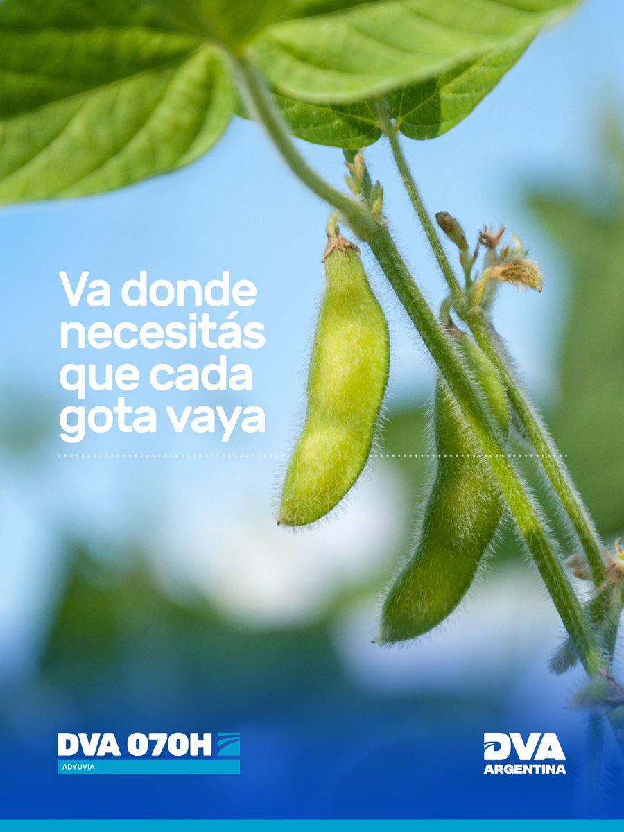 Con DVA 070H asegurás que cada gota llegue a destino.

Un adyuvante formulado para optimizar la cobertura, mejorar la penetración y potenciar la eficiencia de tus aplicaciones.
Más precisión, más resultados.