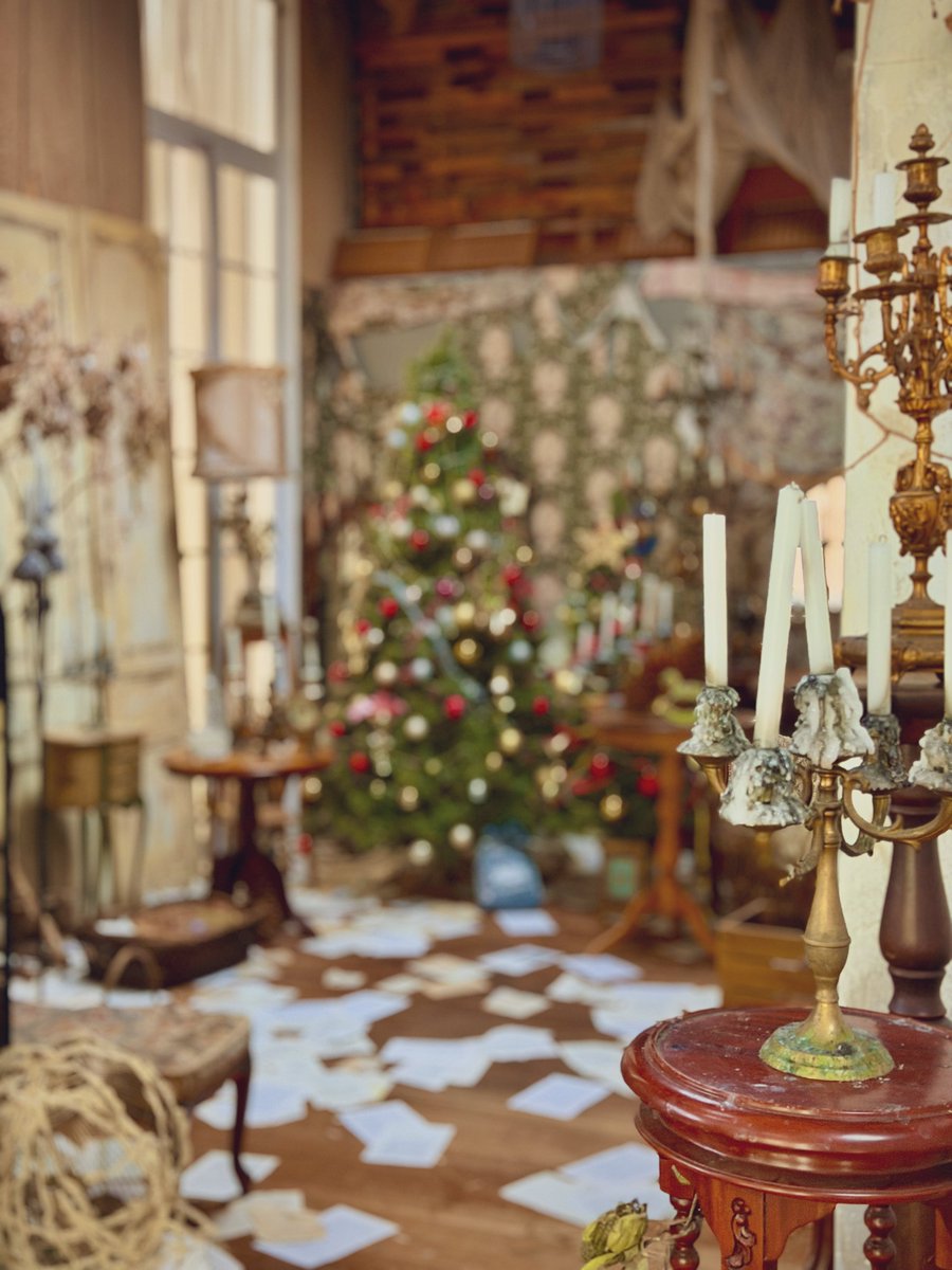 本日の撮影✨️