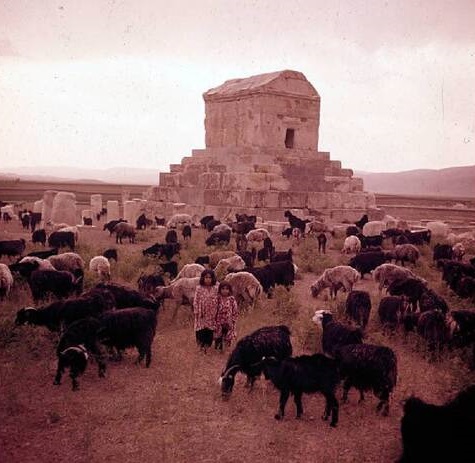 mohadese0118's tweet image. مقبره کوروش قبل انقلاب VS مقبره کوروش بعد از انقلاب
حالا به نظرتون کی آریایی اصیلِ؟!؟!