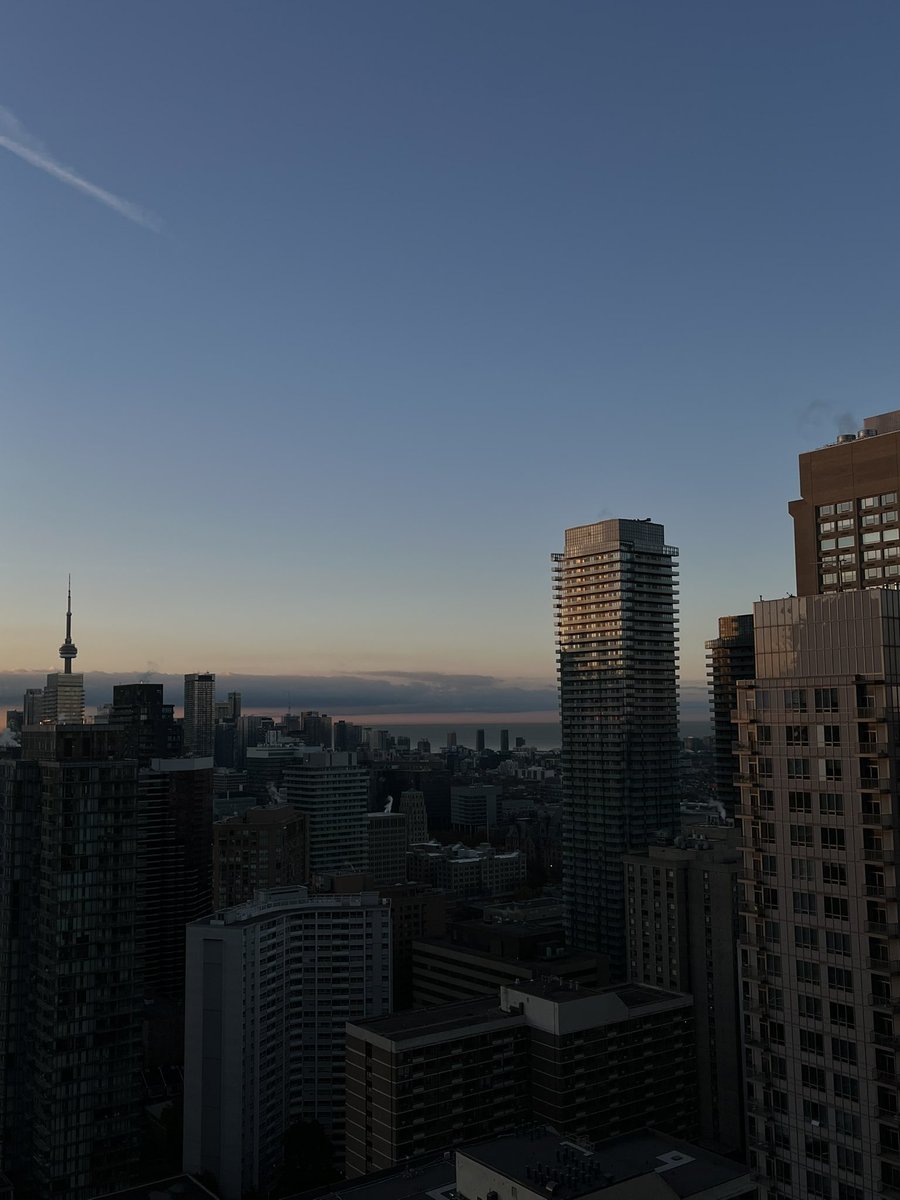 codefim's tweet image. it’s a new day toronto