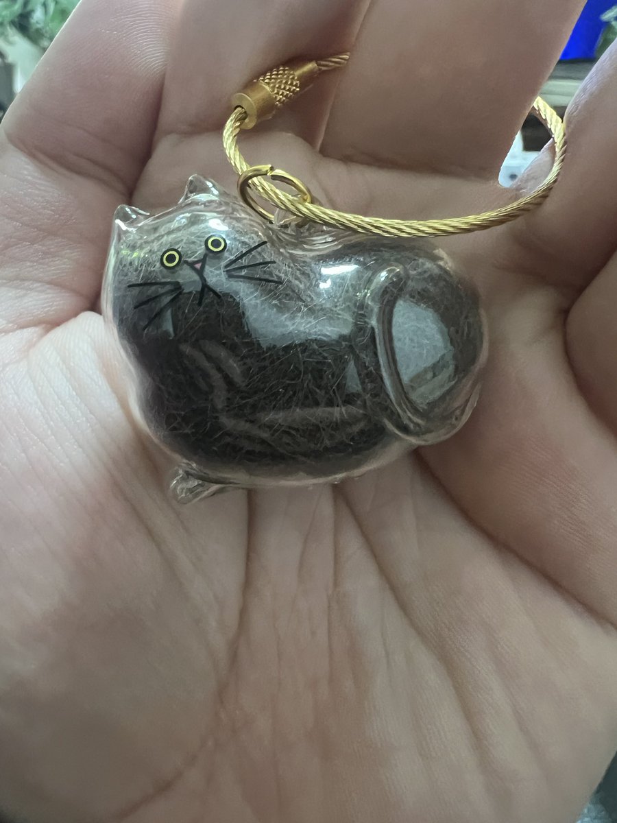 さだはる SADAHARU/さだはる (@SADAHARUTV) / Highlights / X