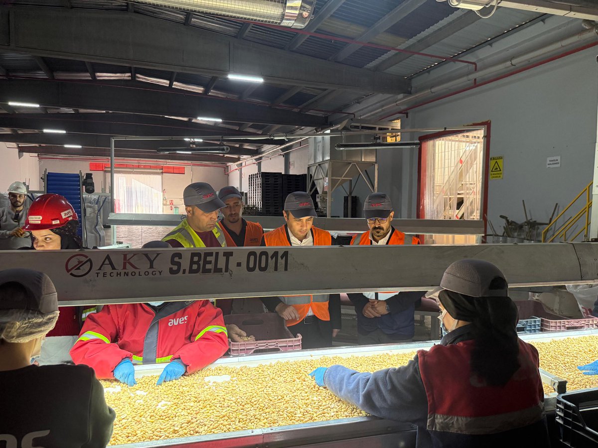 Kaymakamımız Sayın Çağlar PARTAL, Aves Yer Fıstığı işletmesini ziyaret ederek işletme yetkililerine bereketli ve bol kazançlar diledi. 🌿🤝

instagram.com/p/DRPQATRDEhj/…