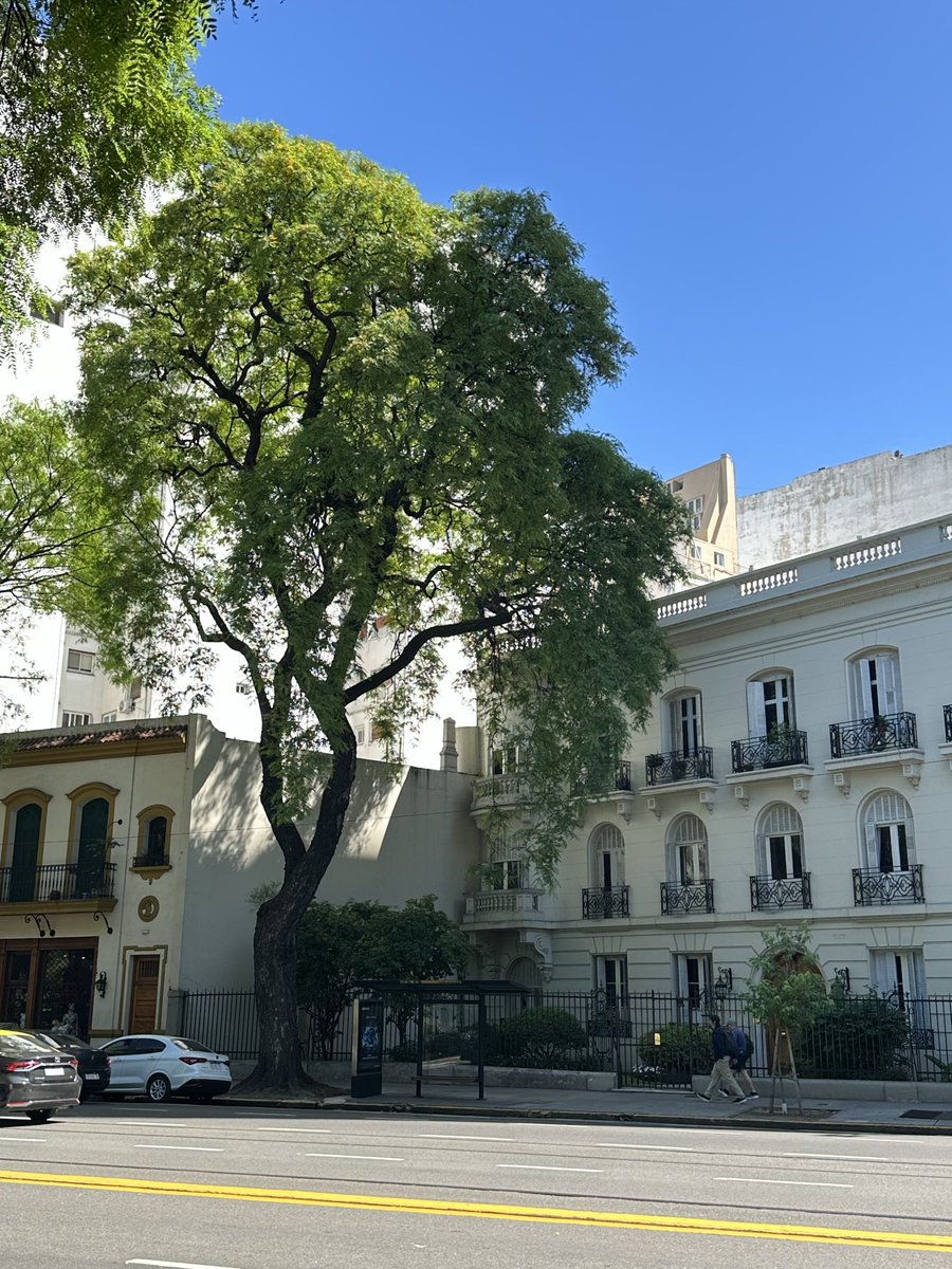 captainmasala tweet media