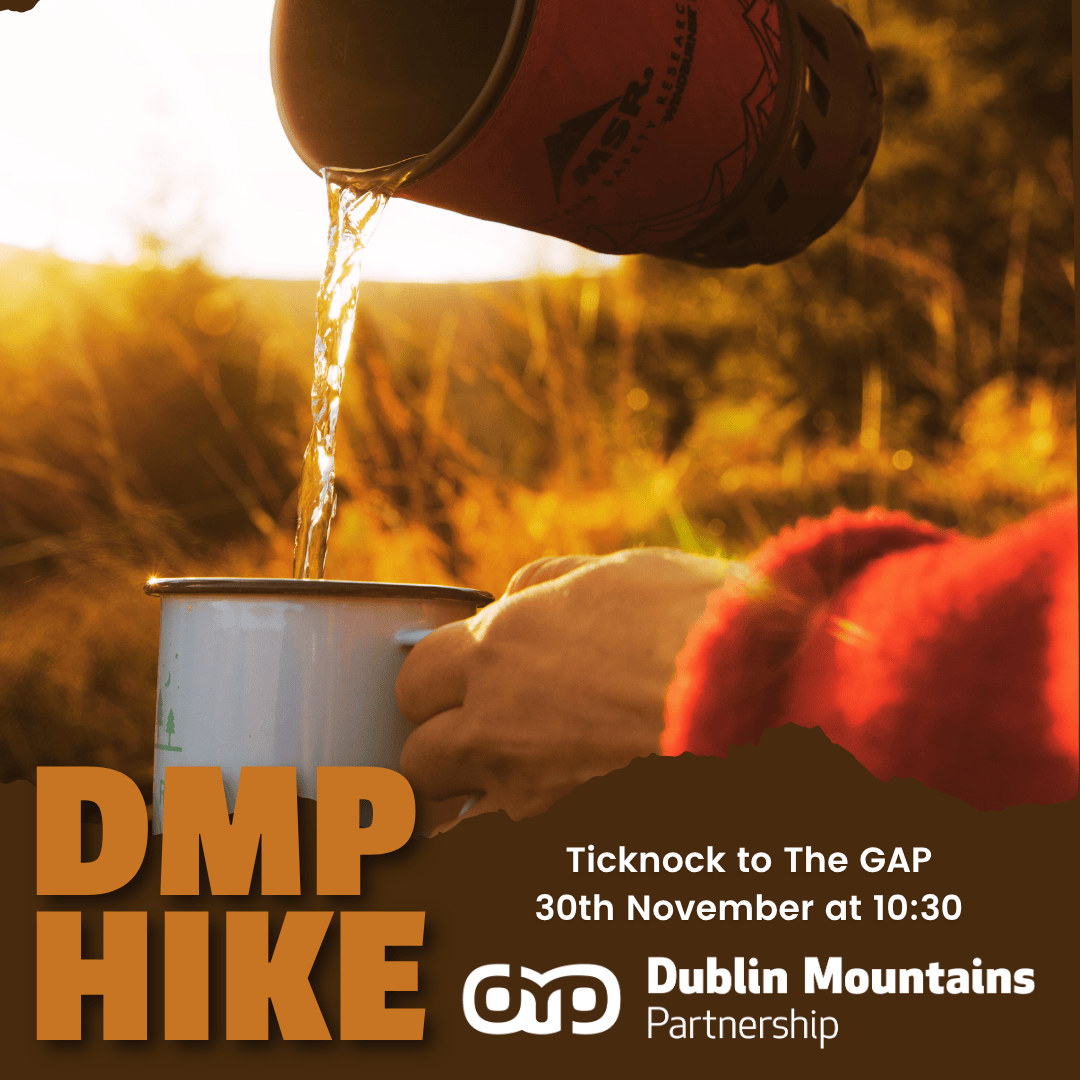 Join us for a Volunteer Ranger-led hike from Ticknock to The GAP and return via Fairy Castle, Two Rock and Three Rock 🥾🌲

📅Sunday, 30th November at 10:30
⏳4.5hrs | 11.5km | 530m climb

Book here👉🏽eventbrite.co.uk/e/dmp-hike-tic…

Please only book if you’re certain you can attend 😇