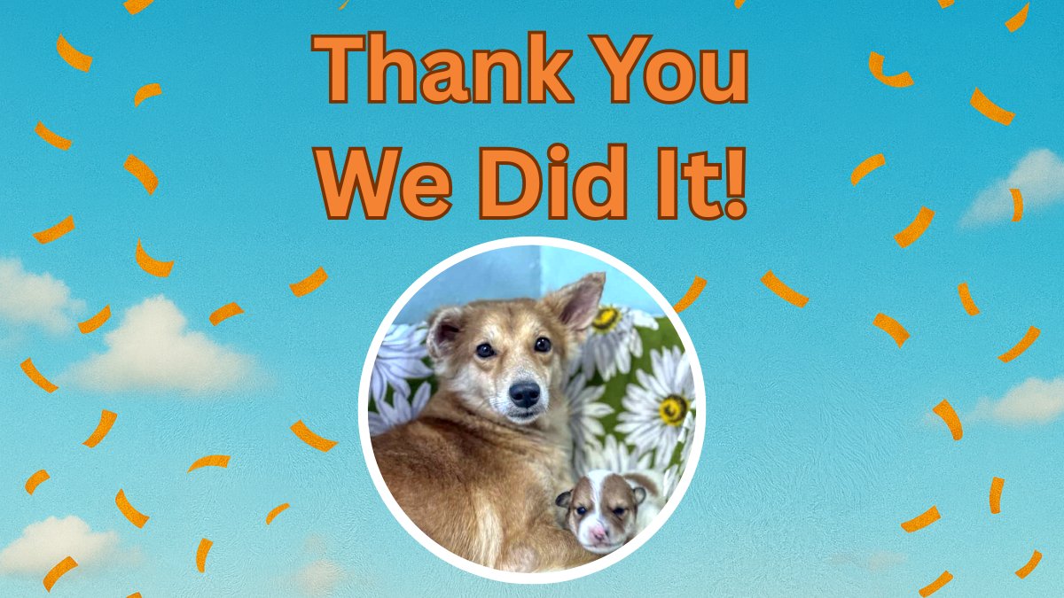 Animal SOS Sri Lanka tweet media