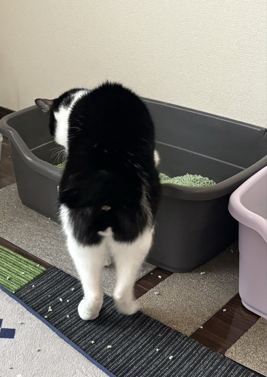 FuFuFu88Fu's tweet image. 美脚!!♡