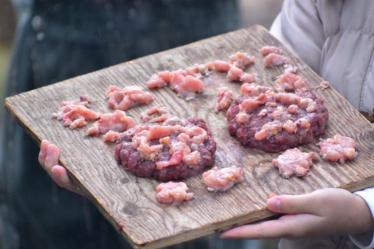 tiger_zoo_c's tweet image. お肉もっとたべたかったなー！っていう欲張りなコタ

#コタ
#ホワイトタイガー
#東武動物公園