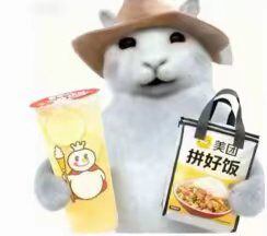 你们都是怎么找到金主的，教教我，我也不想努力了