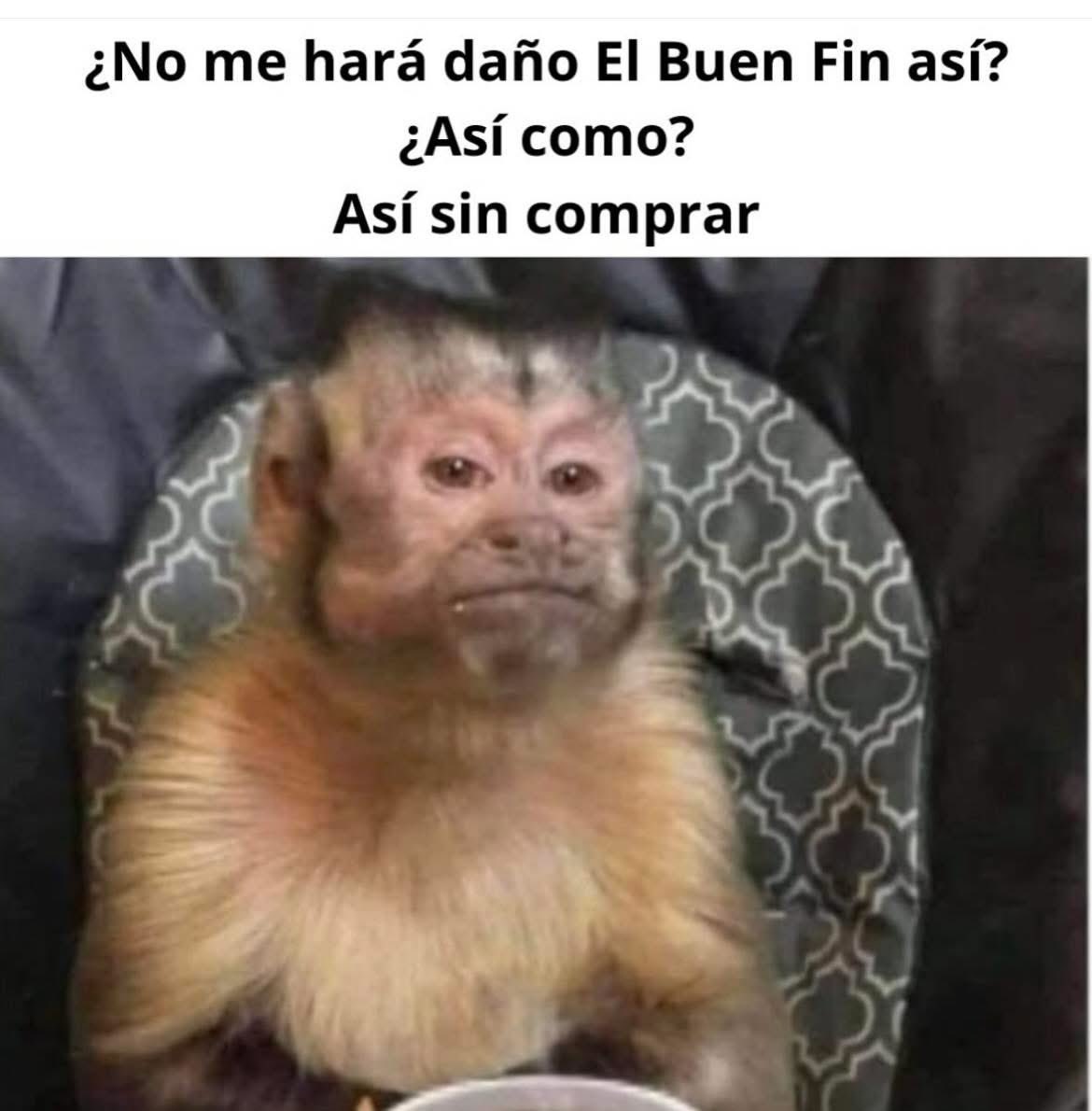 Rose Gahan Eris (@roxy_gahan) on Twitter photo 