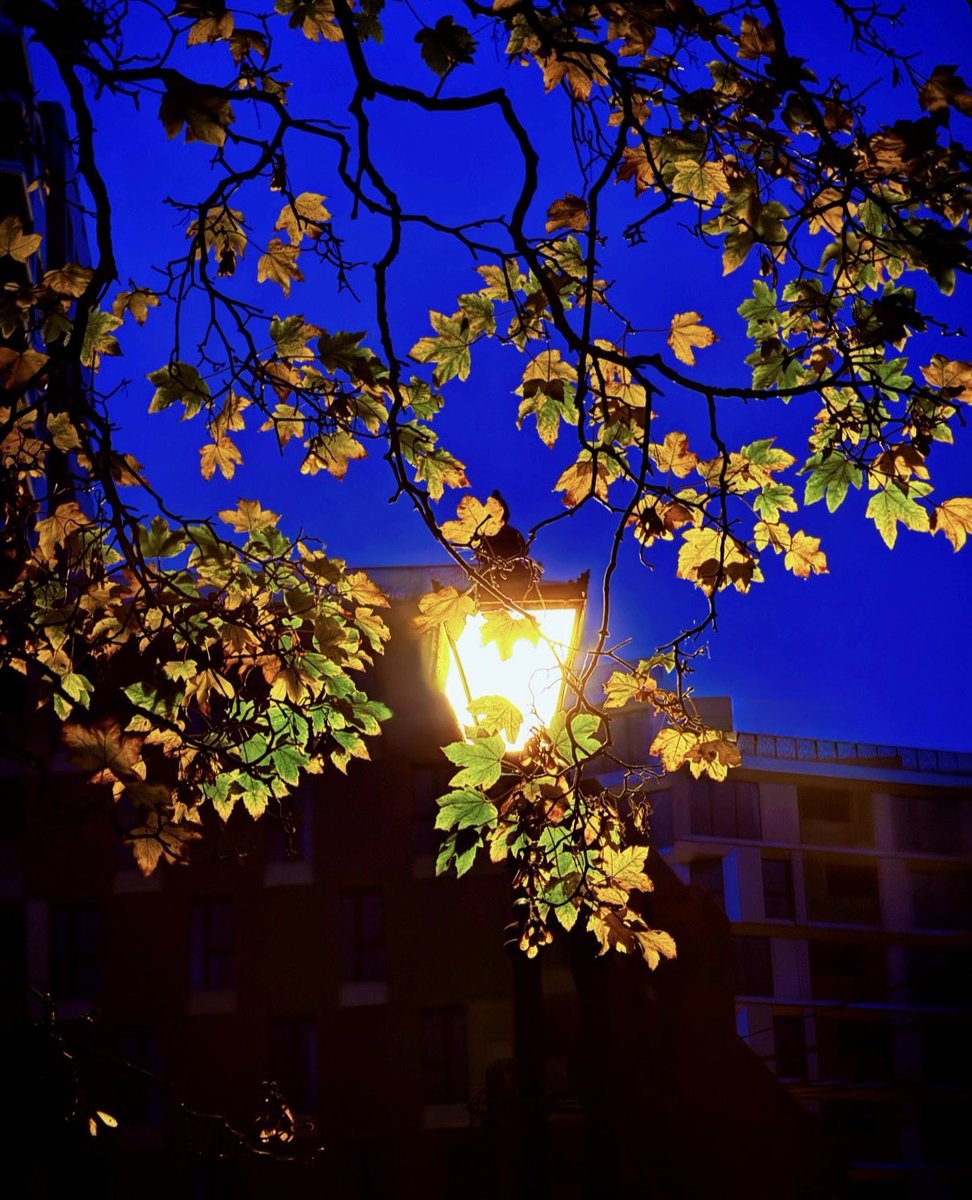 Yay 🥳 Been trying to get my photography out there lately and loving experimenting with the camera on my new phone with some different styles , and it’s working 😊
#camerclub #photography #newsshopper #iphonephotography #iphone17pro #london #fyp