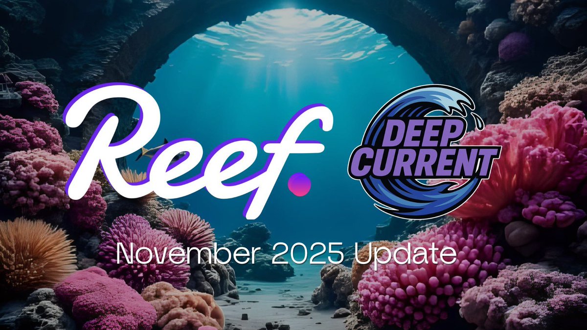 Reef Turkiye Official 🐠 tweet media