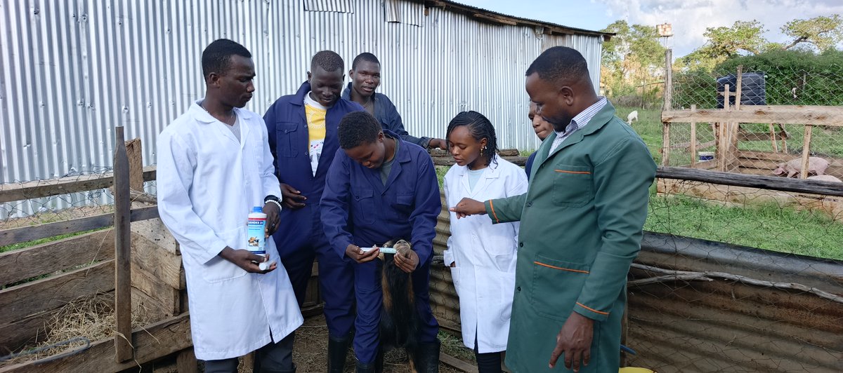 CsaeaC's tweet photo. Join The College Of Sustainable Agriculture for Eastern Africa where 60% practical training meets 40% theory, because real skills build real careers.”
January 2026 intake in progress!!
#JanuaryIntake2026 #sustainableecologicalagriculture #YouthsInAgriculture #EducationForAll https://t.co/OeJ3e1EHXT