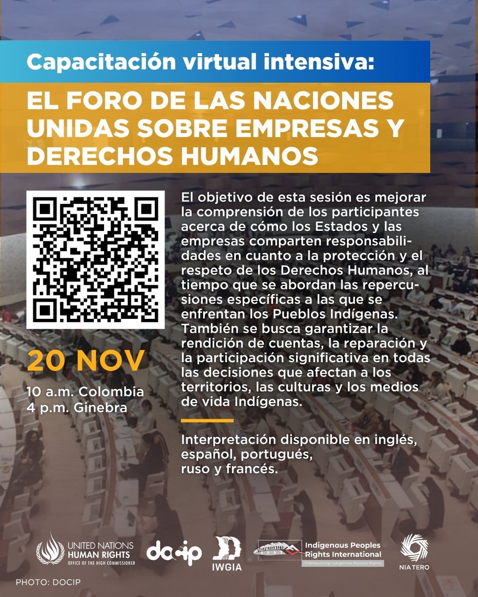 Docip_en's tweet image. Acompáñenos mañana en la sesión final de nuestro ciclo de capacitación 2025 sobre participación de los Pueblos Indígenas en los procesos sobre Empresas y DDHH.
20 nov | 10h–12h (COL/PE/EC)
@IPRightsIntl @IWGIA @NiaTero
#DerechosIndígenas #UNForumBHR #bizhumanrights