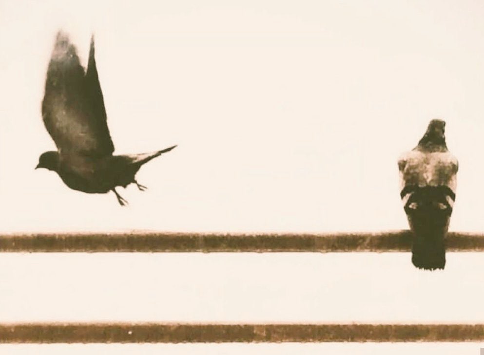 Unutma:
"Yoldaşı Allah olan, yolda kalmaz.