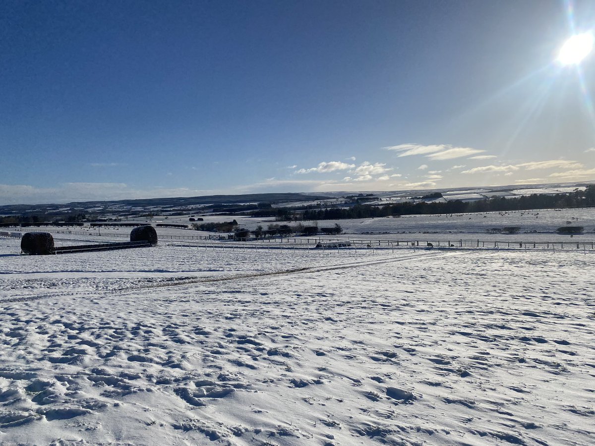 The scene at 12:46pm, which was supposed to be 1st race time, sadly not to be…