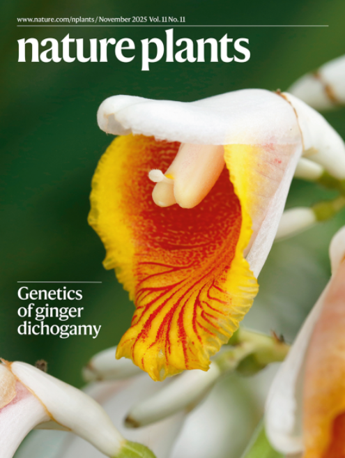 NaturePlants's tweet photo. The November issue is now fully online:
https://t.co/ywUIpQ419t https://t.co/VgJW7jkoBm