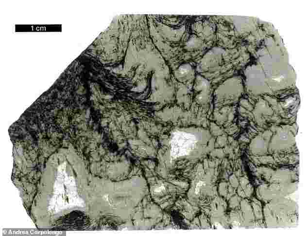 thandojo's tweet image. As part of a groundbreaking study, experts have detected traces of life locked inside #rocks more than 3.3 billion years old that could revolutionise our understanding of how #ancient #molecules evolved..