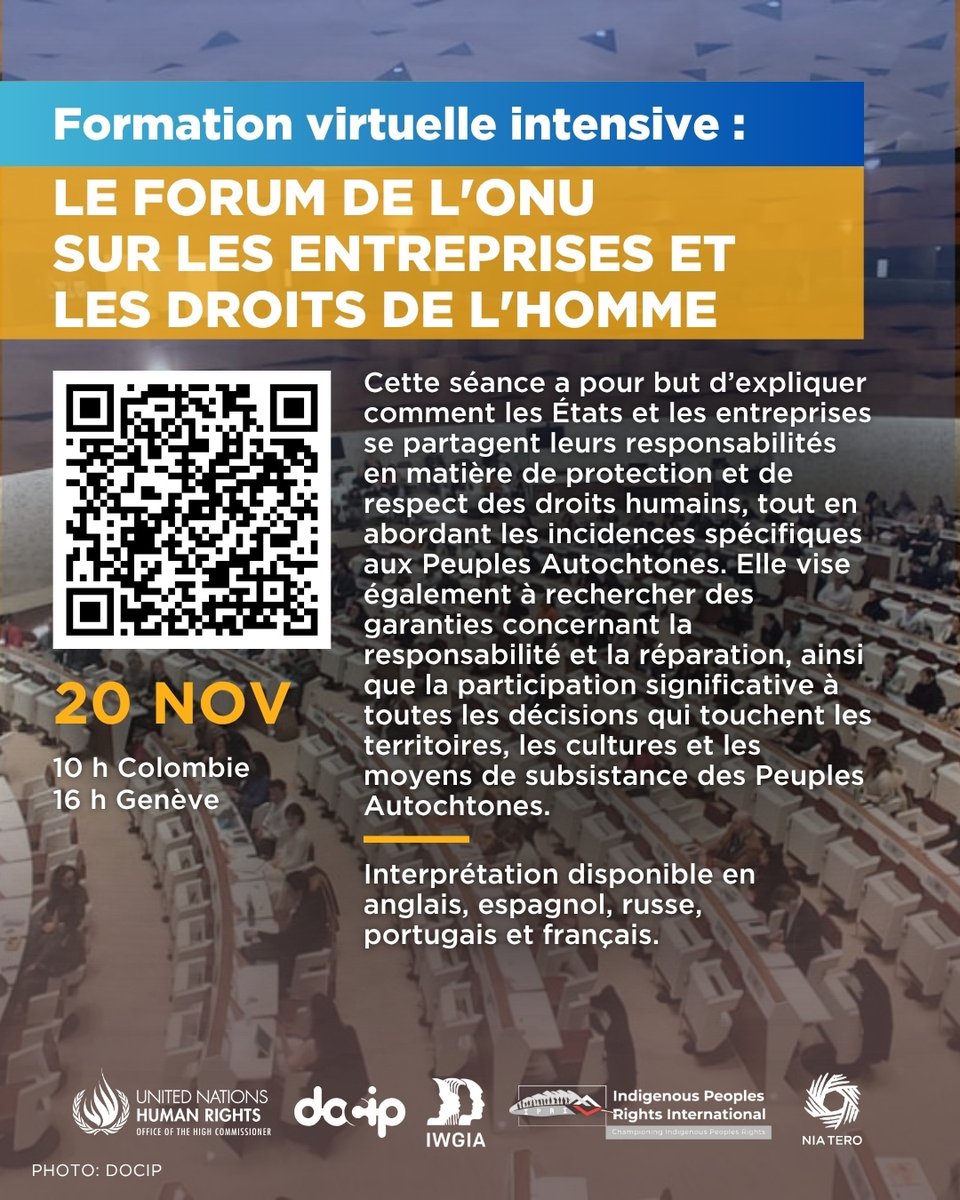 Docip_en's tweet image. Rejoignez-nous demain pour la dernière formation de notre cycle 2025, consacrée à la participation des Peuples Autochtones aux processus sur les entreprises et les droits de l’homme.
📅 20 nov | ⏳ 16h–18h (Genève)
@IPRightsIntl @IWGIA @NiaTero
#DroitsAutochtones #UNForumBHR