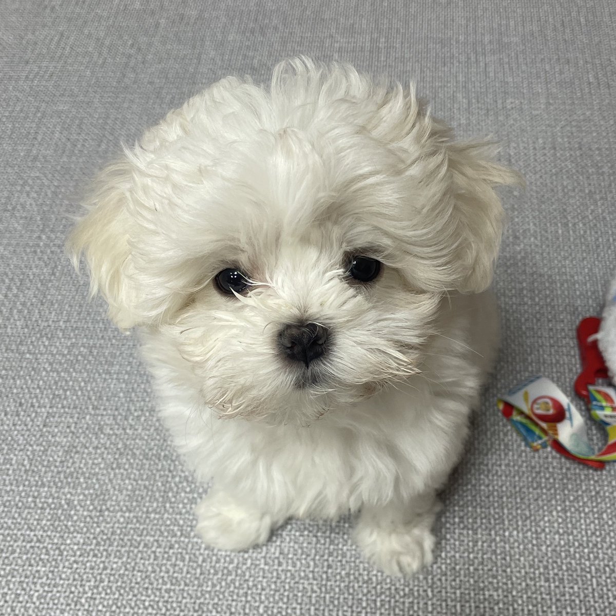 동글동글하다 동글동글한
꼬질꼬질하다 꼬질꼬질한
울퉁불퉁하다 울퉁불퉁한