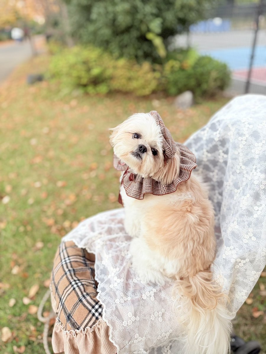 えっちゃん (@BokuEsteban) / Posts / X