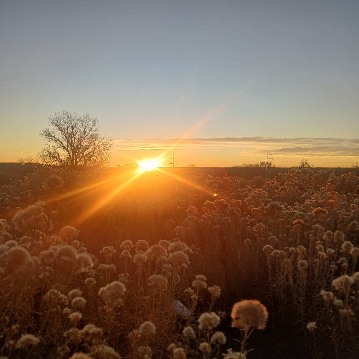 RLove (@ralove911) on Twitter photo 