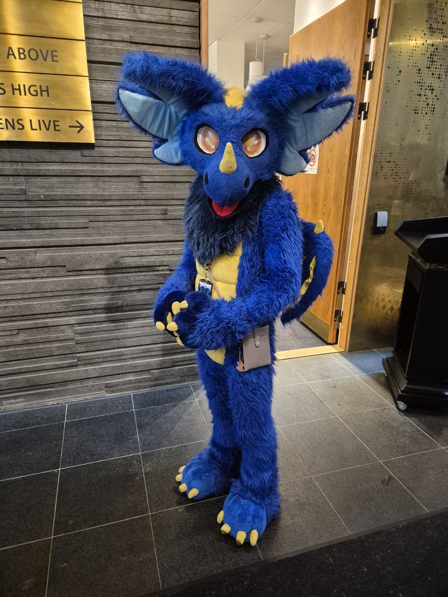 Falcomowdragon.bsky.social @NFC tweet media