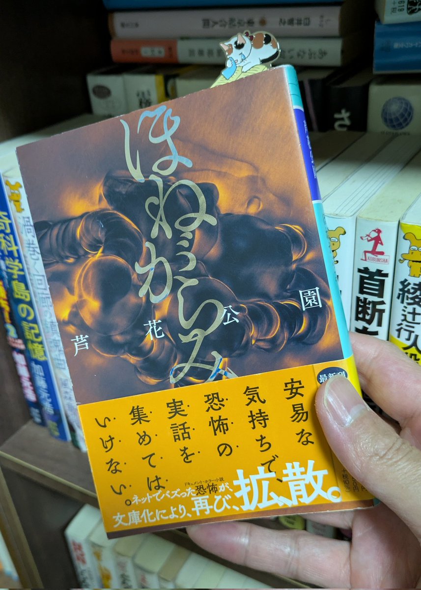 xametal93's tweet image. #今読んでる本

「ほねがらみ」芦花公園

実話怪談収集…！？
最初の家系図すごいね😆